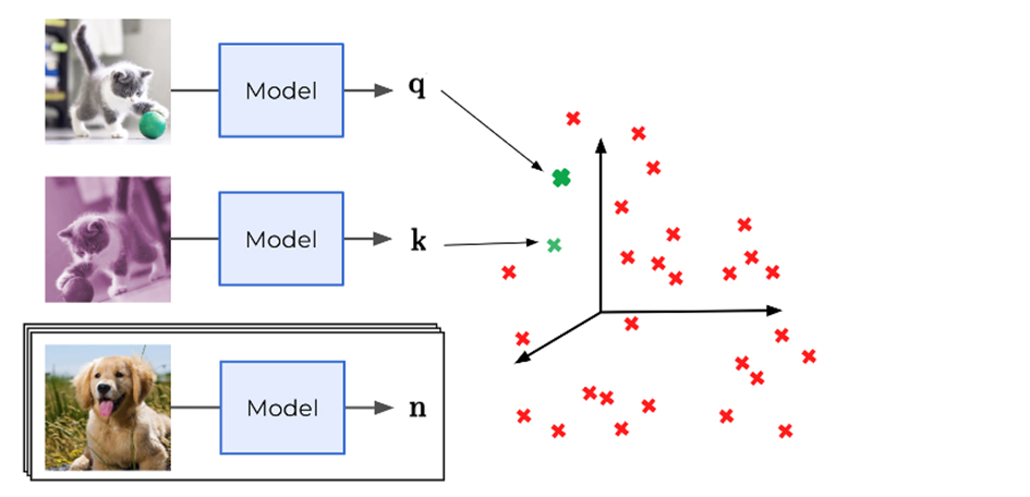 Self-Supervised Learning